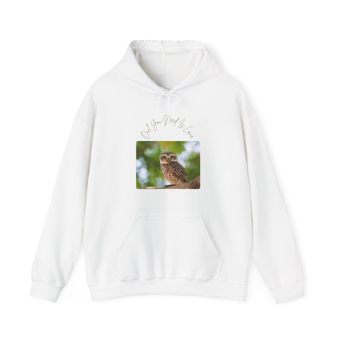 Owl You Need Is Love