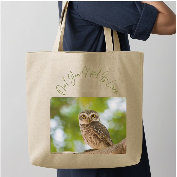 Owl You Need Is Love