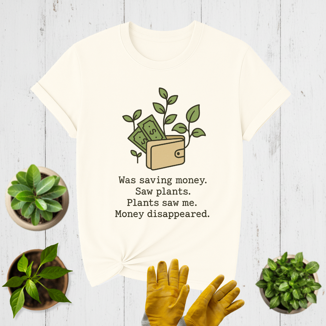 Money disappeared T-shirt