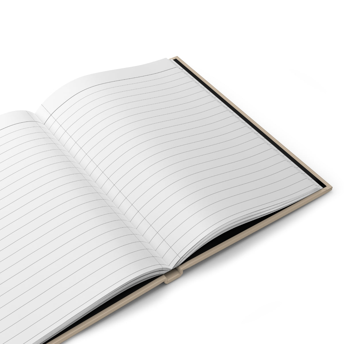 The Secret Journal