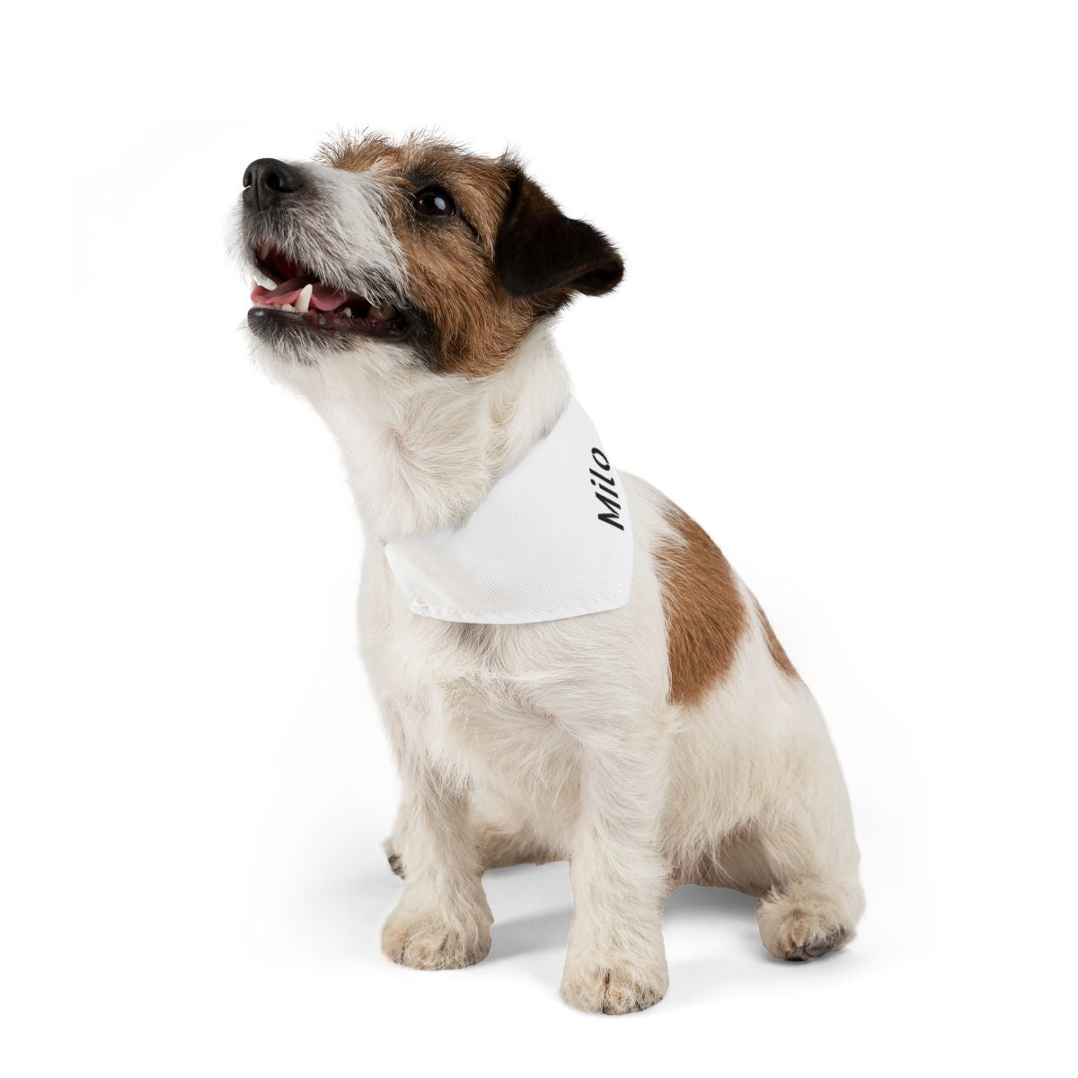 Dog Bandana