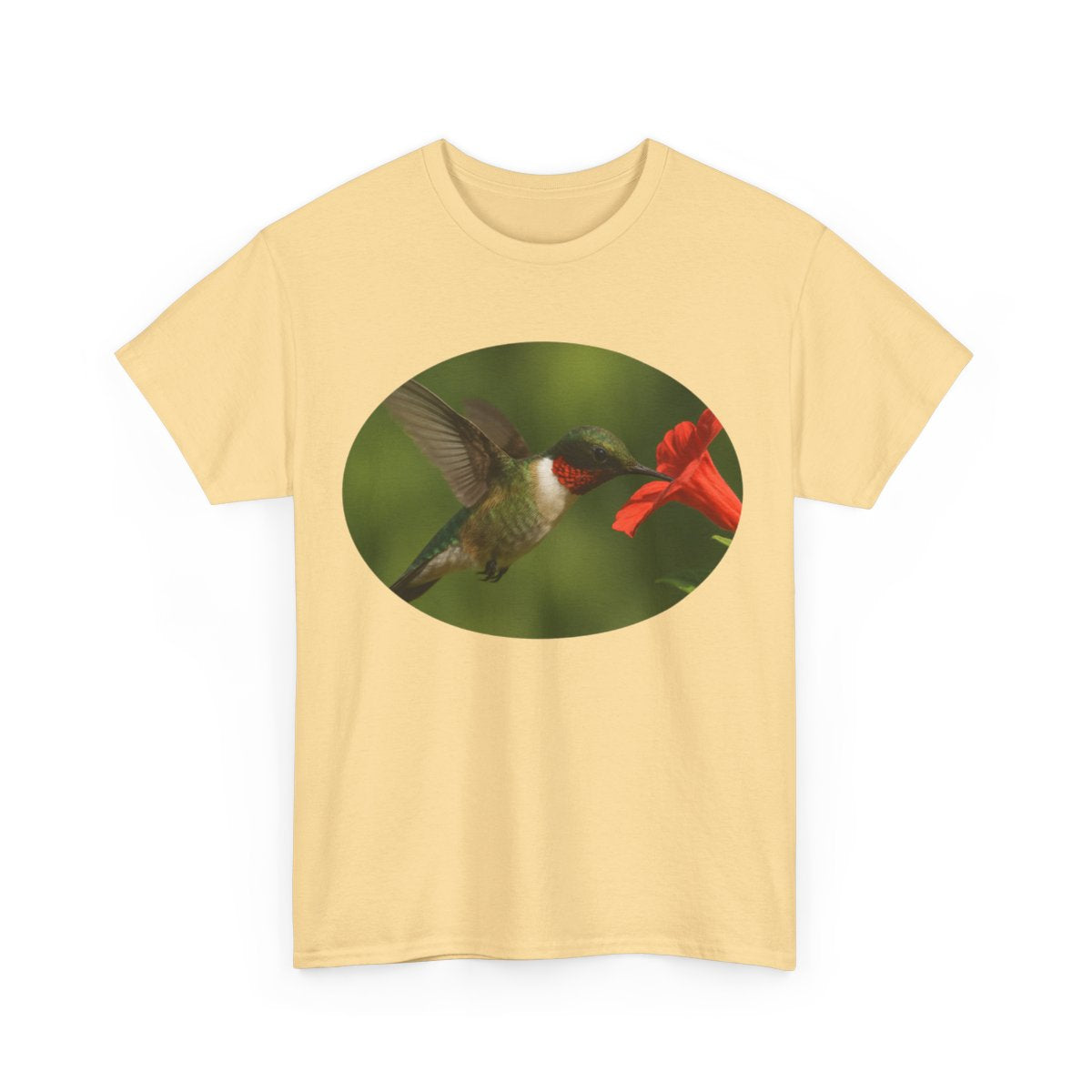 Hummingbird in Oval
