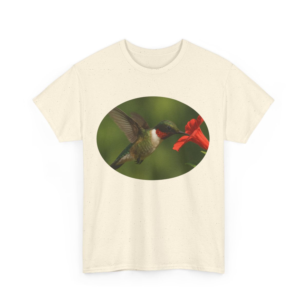 Hummingbird in Oval