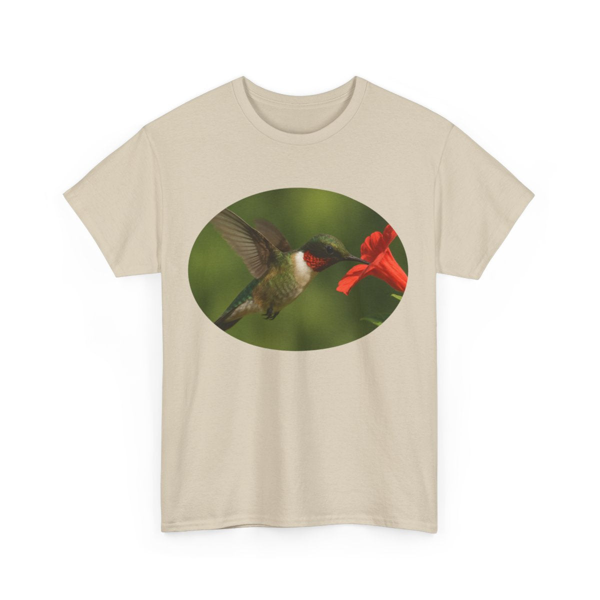 Hummingbird in Oval