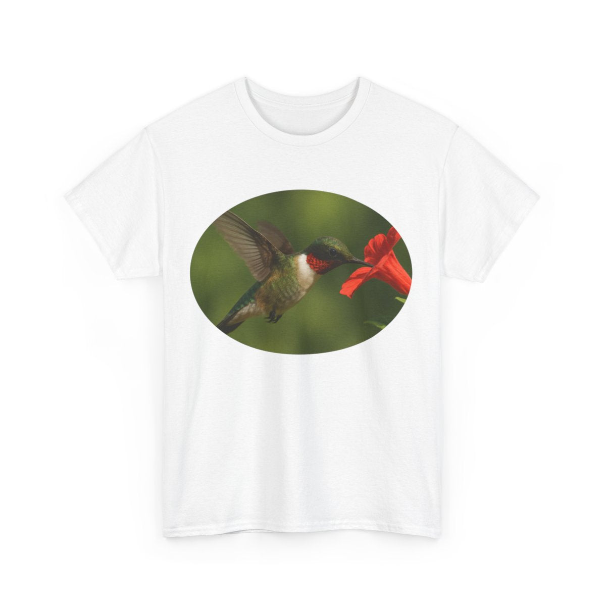 Hummingbird in Oval