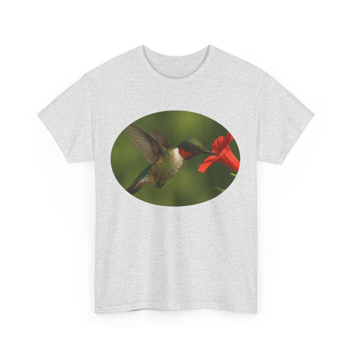 Hummingbird in Oval