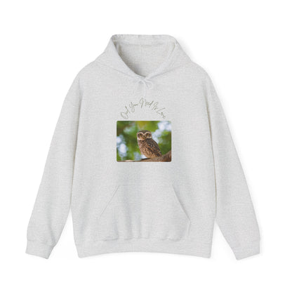 Owl You Need Is Love