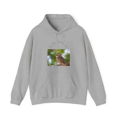 Owl You Need Is Love