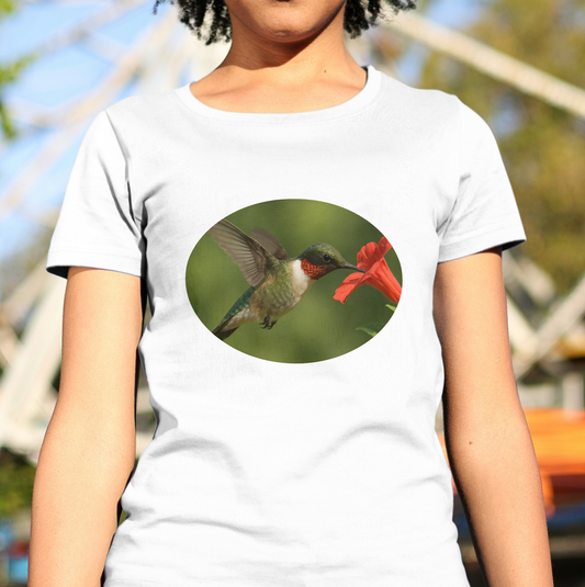 Hummingbird in Oval