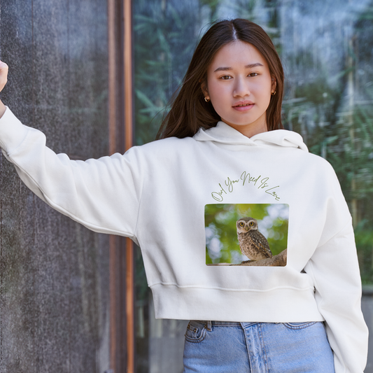 Owl You Need Is Love