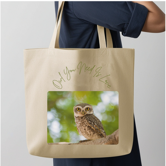 Owl You Need Is Love
