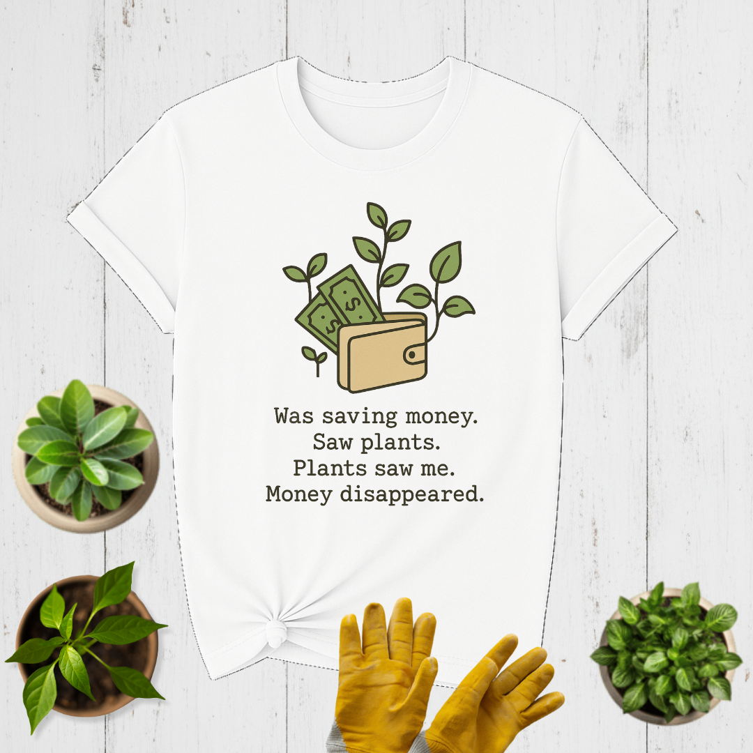 Money disappeared T-shirt