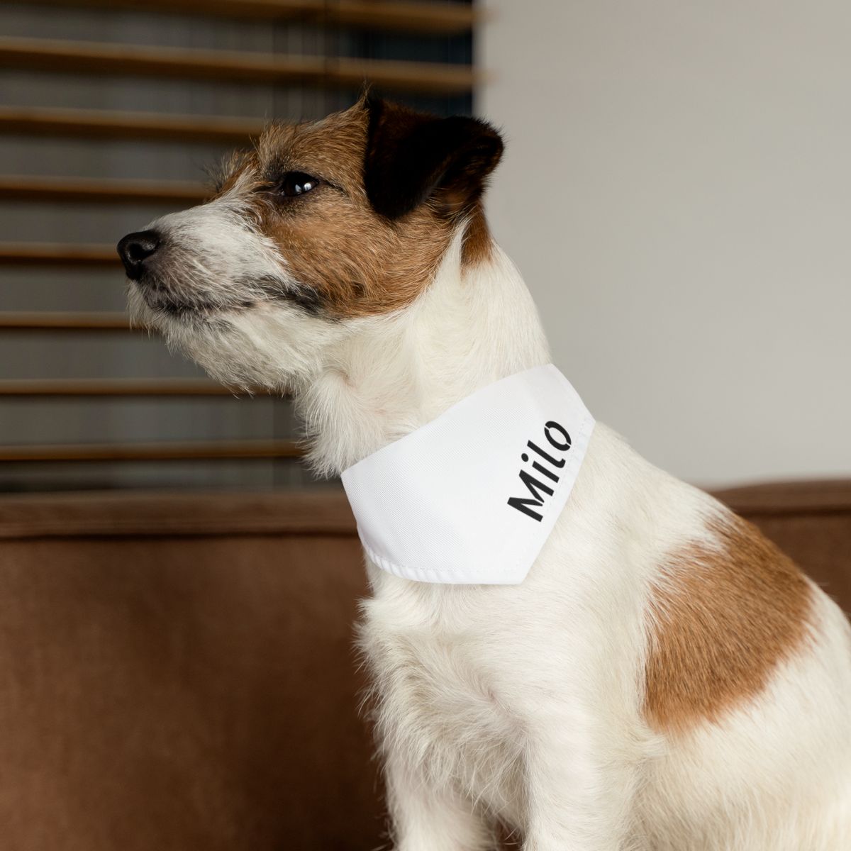Top Dog Dad Bundle