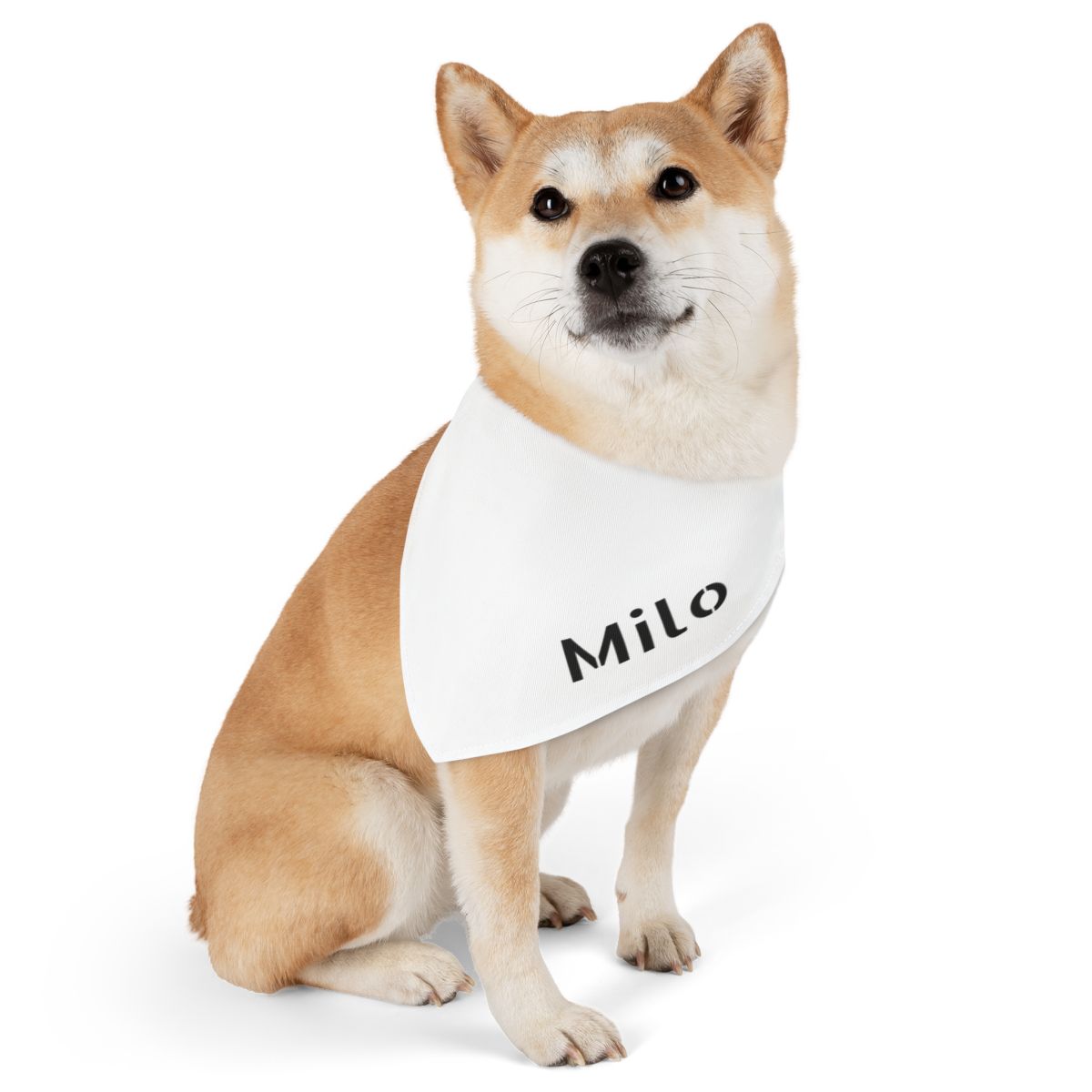 Top Dog Dad Bundle
