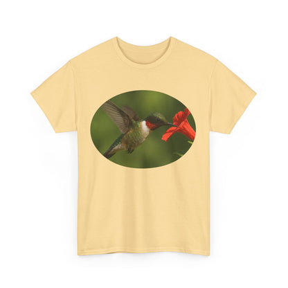 Hummingbird in Oval