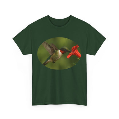 Hummingbird in Oval