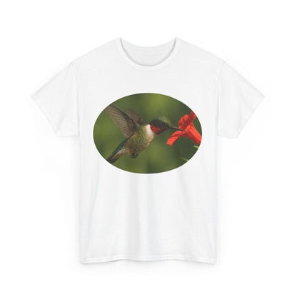 Hummingbird in Oval